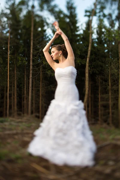 Preciosa novia en el día de su boda al aire libre en un bosque — Foto de Stock