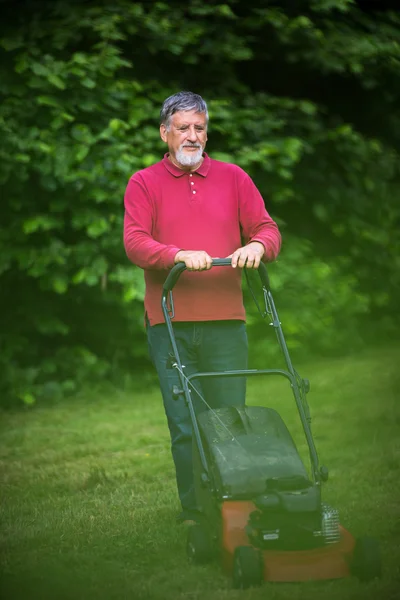 Homme âgé tondre la pelouse dans son jardin — Photo