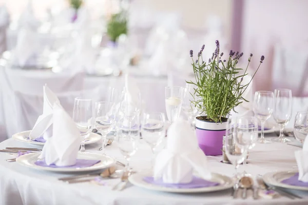 Lovely Wedding Venue Wedding Reception Room Tables Set Ready — Stock Photo, Image
