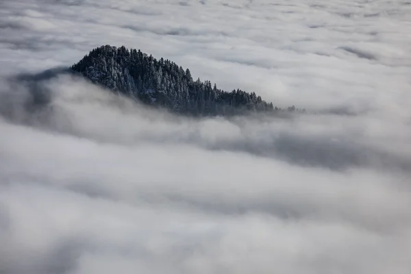Wspaniała Sceneria Wysokie Góry Mgłą Pięknym Wieczornym Światłem — Zdjęcie stockowe