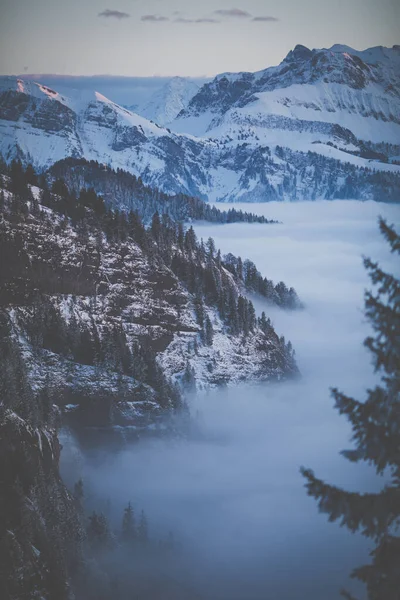 Esplêndido Cenário Apline Altas Montanhas Com Nevoeiro Linda Luz Noite — Fotografia de Stock