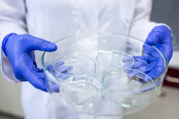 Mãos Uma Pesquisadora Realizando Pesquisas Laboratório Química Imagem Tonificada Cores — Fotografia de Stock
