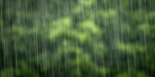Дождь Падающий Неба Приносит Необходимую Влажность Природу — стоковое фото