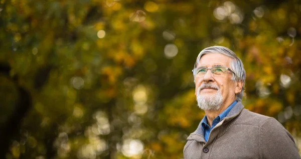 Porträtt Äldre Man Utomhus Optimism God Hälsa Lycka Utstrålar Mannens — Stockfoto