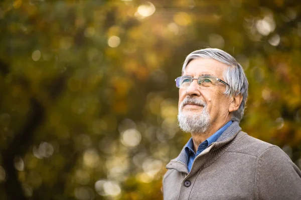 Portrét Staršího Muže Venku Optimismus Dobré Zdraví Radost Vyzařuje Mužovy — Stock fotografie