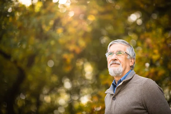 Porträtt Äldre Man Utomhus Optimism God Hälsa Lycka Utstrålar Mannens — Stockfoto