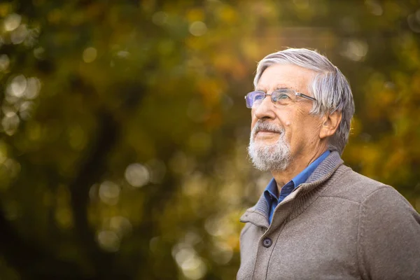 Ritratto Uomo Anziano All Aperto Ottimismo Buona Salute Felicità Irradia — Foto Stock