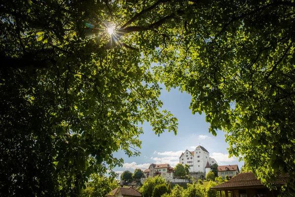 Castelo Lenzburg Aargau Suíça Lindo Dia Verão — Fotografia de Stock