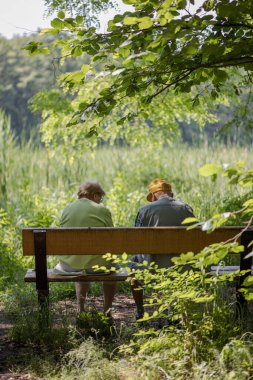 Yazın dışarıda yaşayan yaşlı bir çift. Yürüyüşe çıkmış mutlu yaşlı bir çift. Yakışıklı erkek ve kadın yaşlılar. Yaşlı karı ve koca doğanın geçmişine karşıdır..
