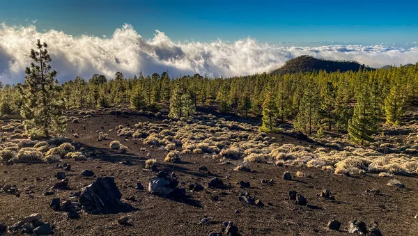 Cime Dei Vulcani Teide Pico Viejo Tramonto Viste Dal Cratere — Foto Stock