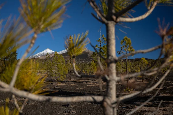 Kolorowy Malowniczy Krajobraz Księżyca Wschodzącego Teneryfie Park Narodowy Teide — Zdjęcie stockowe