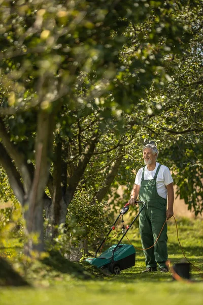 Senior Trädgårdsskötsel Sin Permakultur Trädgård — Stockfoto