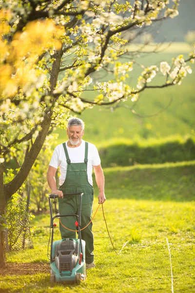 Retrato Jardinagem Homem Sênior Cuidando Seu Lindo Pomar Desfrutando Ativamente — Fotografia de Stock