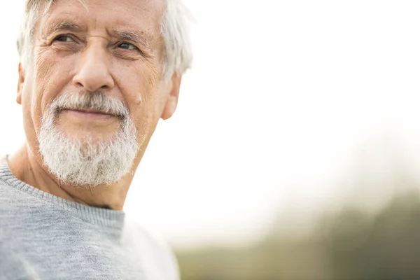 Portret Van Een Oudere Man Buiten Tegen Lucht Optimisme Goede — Stockfoto