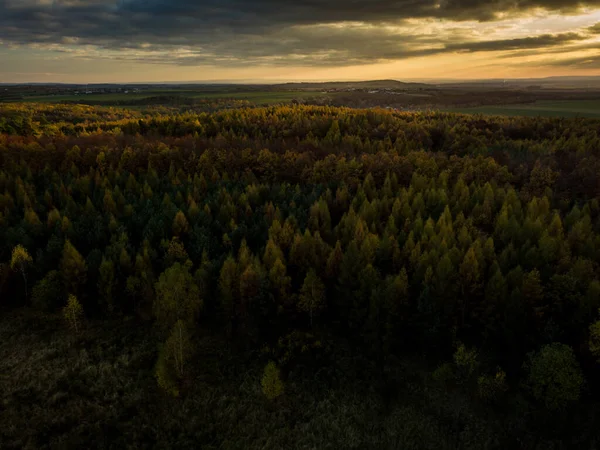 Zachód Słońca Górskim Krajobrazie Lasu Ciepłe Światło Słoneczne Uderzające Wierzchołki — Zdjęcie stockowe