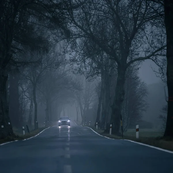 霧の中で現代のSuv車 高山道路 カメラに向かって速く行く — ストック写真