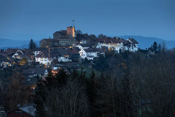 スイスのチューリッヒ近くの城とレーゲンスベルクの町 — ストック写真