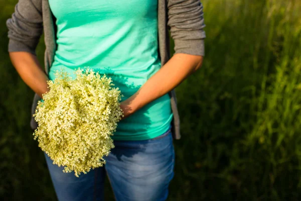 Mujer joven recogiendo flor de saúco — Foto de Stock