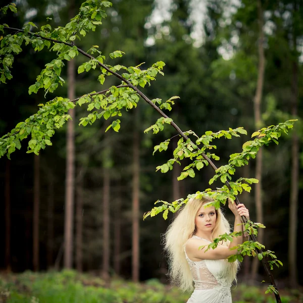 Bella sposa in una foresta — Foto Stock