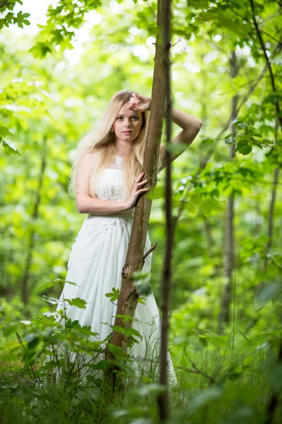 Linda noiva em uma floresta — Fotografia de Stock