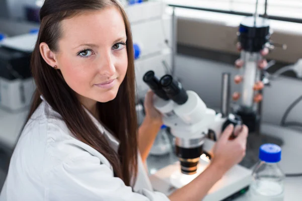 Female chemistry student carrying out research — Stock Photo, Image