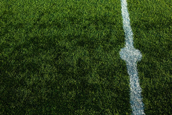 Well cut grass of a soccer field — Stock Photo, Image