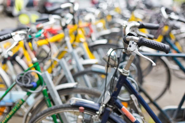 Wypożyczalnia rowerów - wiele rowerów stojących — Zdjęcie stockowe