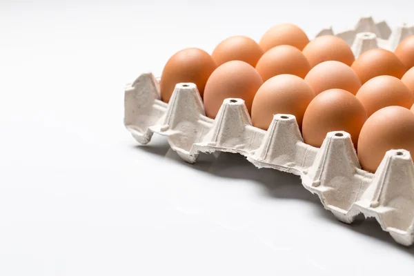 Много яиц в лотке — стоковое фото