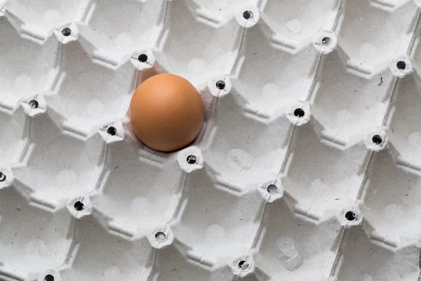 Jedno vejce v zásobníku — Stock fotografie