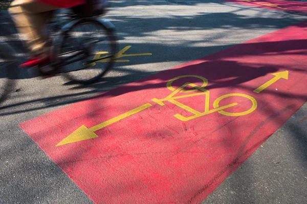 Cycliste sur la piste cyclable — Photo