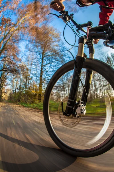 Fahrradfahren im Stadtpark — Stockfoto