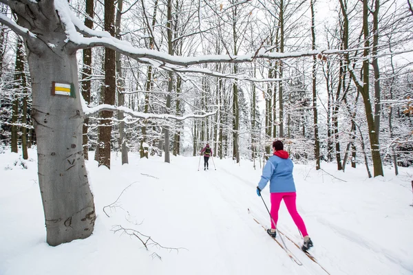 Duas mulheres esqui cross-country — Fotografia de Stock