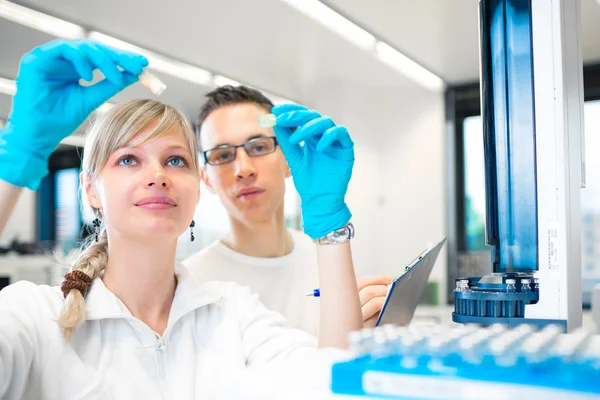 Researchers carrying out experiments in a lab — Stock Photo, Image