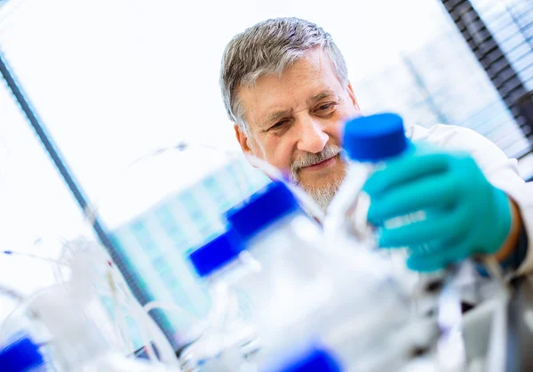 Senior male researcher carrying out scientific research in a lab — Stock Photo, Image