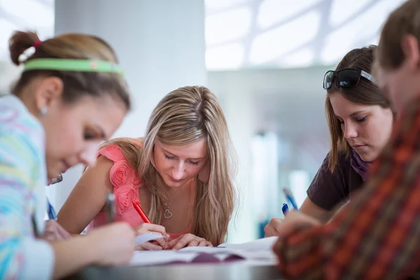 Universitaire studenten tijdens een rem tussen klassen — Stockfoto