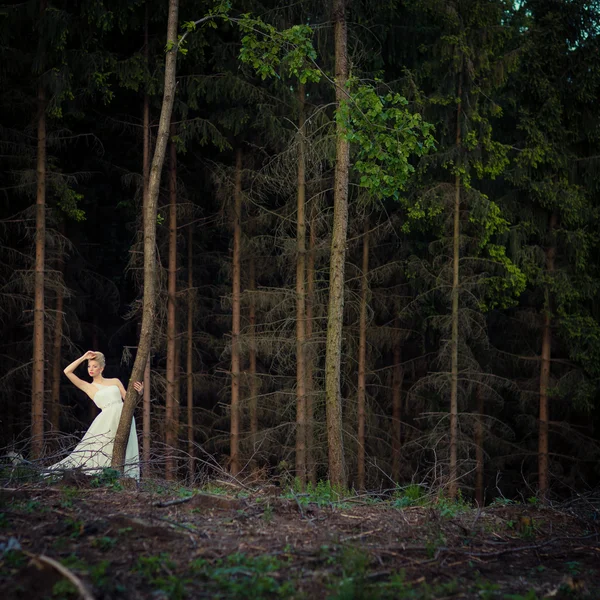 Preciosa novia en un bosque — Foto de Stock