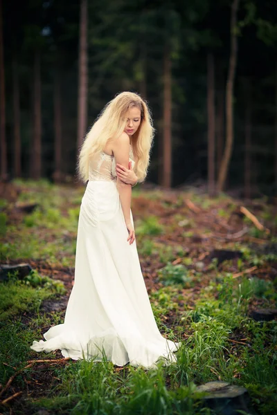 Preciosa novia en un bosque — Foto de Stock