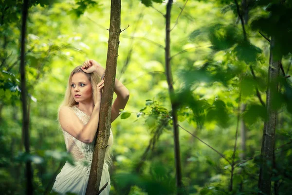 Bella sposa in una foresta — Foto Stock