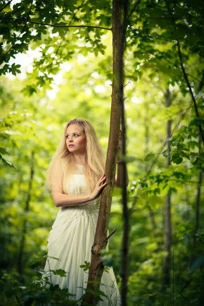 Lovely bride in a forest — Stock Photo, Image