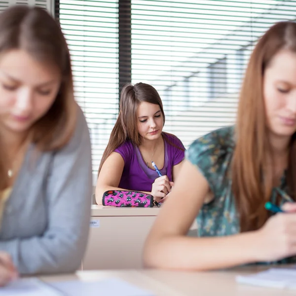 Studenten in een klaslokaal tijdens de les — Stockfoto