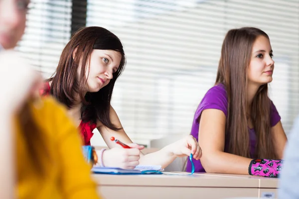 Studenten in een klaslokaal tijdens de les — Stockfoto