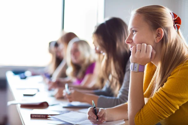 Studenten in een klaslokaal tijdens de les — Stockfoto