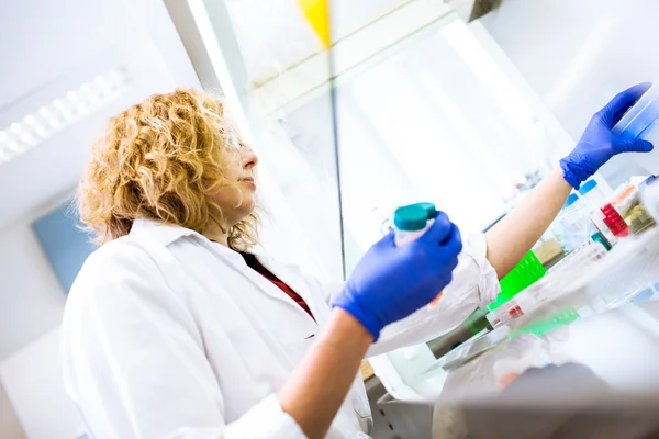 Female researcher doing research in a lab Stock Image