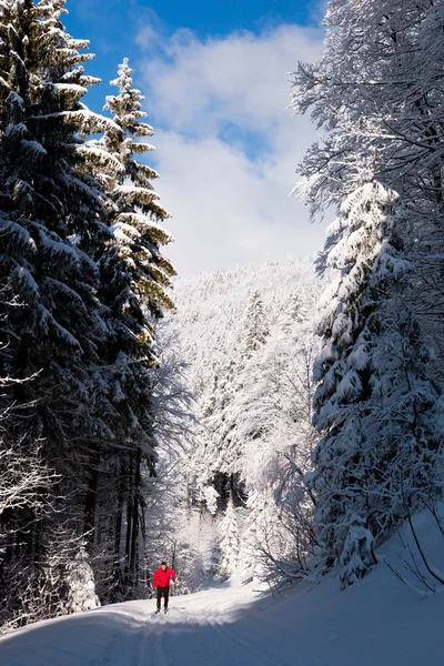 Jeune homme ski de fond — Photo