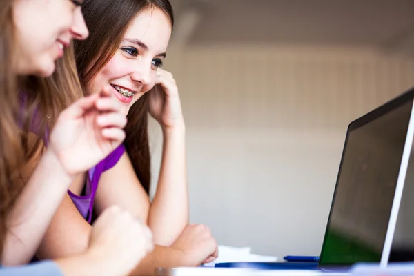 Sırasında bir dizüstü bilgisayar üzerinde çalışan iki kadın üniversite öğrencileri — Stok fotoğraf