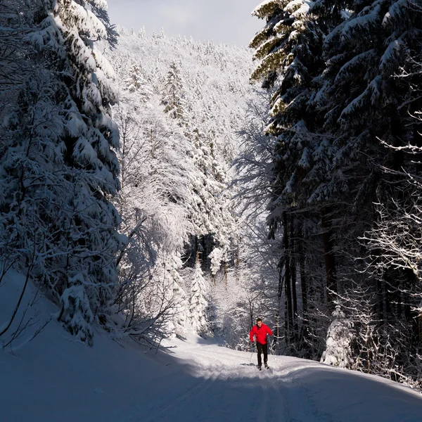 Genç adam kayaklı koşu — Stok fotoğraf