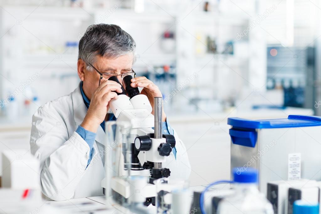 Senior male researcher carrying out scientific research in a lab