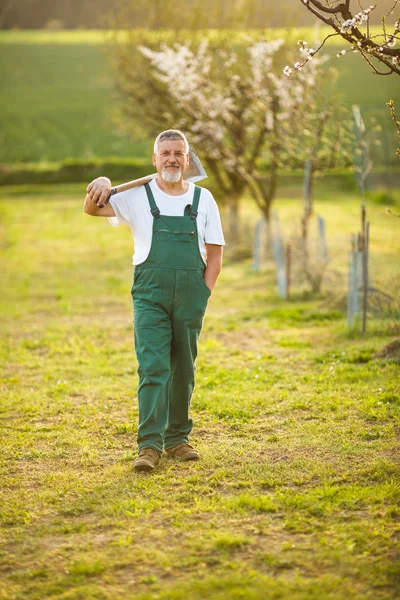 Bello uomo anziano giardinaggio nel suo giardino — Foto Stock