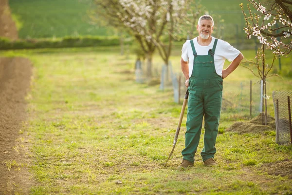 Красивий старший чоловік садівництво в своєму саду — стокове фото