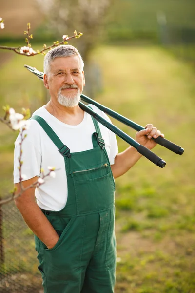 Bonito homem sênior jardinagem em seu jardim — Fotografia de Stock